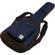 Ibanez IGB541: Picture 1 thumbnail
