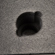 Veydra 6 Hole Custom Hard Lens Case for ...: Picture 2 thumbnail