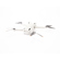 DJI Mini 3 Pro: Picture 3 thumbnail
