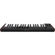 IK Multimedia iRig Keys 2: Picture 3 thumbnail
