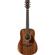 Ibanez AW54JR: Picture 1 thumbnail