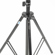 ARRI 650W Tungsten Fresnel Compact 3-Lig...: Picture 12 thumbnail