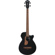 Ibanez AEG: Picture 1 thumbnail