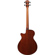 Ibanez AEG: Picture 3 thumbnail
