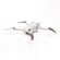 DJI Remote Controller: Picture 4 thumbnail