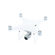 DJI Phantom 4 Pro+ V2.0: Picture 2 thumbnail