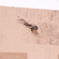 DJI Wingsland Z15: Picture 3 thumbnail