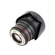 Rokinon DSX 24mm: Picture 4 thumbnail