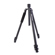 Matterport Pro Series Tripod (Black): Picture 2 thumbnail
