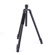 Matterport Pro Series Tripod (Black): Picture 4 thumbnail