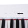 Yamaha P-225 88-Note Digital Piano with ...: Picture 3 thumbnail