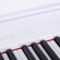 Yamaha P-225 88-Note Digital Piano with ...: Picture 6 thumbnail