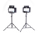 GVM 560AS: Picture 4 thumbnail