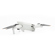 DJI Mini 3: Picture 6 thumbnail