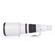 Canon 600mm F/4L: Picture 2 thumbnail
