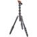 Video Review of the 3 Legged Thing Albert 2.0 CF Tripod System & AirHed Pro, Earth Bronze/Ocean Blue