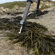 3 Legged Thing Legends Stilettoz: Picture 6 thumbnail