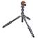 3 Legged Thing Leo 2.0 Kit: Picture 3 thumbnail