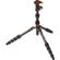 3 Legged Thing Eclipse Leo: Picture 2 thumbnail