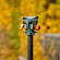 3 Legged Thing Levelling Base: Picture 22 thumbnail