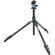 3 Legged Thing Punks Patti 2.0 4-Section...: Picture 3 thumbnail