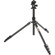 3 Legged Thing Punks Patti 2.0 4-Section...: Picture 3 thumbnail