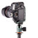 3 Legged Thing QR11 2.0: Picture 15 thumbnail