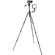 3 Legged Thing Punks Travis 2.0 5-Sectio...: Picture 8 thumbnail