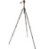 3 Legged Thing Punks Travis 2.0 5-Sectio...: Picture 2 thumbnail