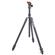 Video Review of the 3 Legged Thing Winston 2.0 CF Tripod System, AirHed Pro, Earth Bronze/Ocean Blue