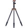 3 Legged Thing Eric 4 Section Evolution 2 Carbon Fiber Tripod System with AirHed 1 Ball Head, 17.60lbs Load Capacity, 19.7" Folded Length, Black: Picture 6 thumbnail