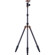 3 Legged Thing Eric 4 Section Evolution 2 Carbon Fiber Tripod System with AirHed 1 Ball Head, 17.60lbs Load Capacity, 19.7" Folded Length, Black: Picture 1 thumbnail