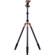 3 Legged Thing X4 Eric 4-Section Carbon Fiber Tripod with AirHead 1 Ball Head, 85" Maximum Height, 16.7lb Load Capacity, Black: Picture 2 thumbnail