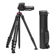 Nikon D850: Picture 4 thumbnail