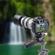 3Pod Pistol Grip: Picture 6 thumbnail