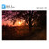 84.5mm Light Pink Graduated Color Filter: Picture 3 thumbnail