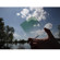 84.5mm Medium Forest Green Graduated Color Filter: Picture 3 thumbnail