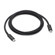 Apple Thunderbolt 4 Pro Cable, 5.9': Picture 1 thumbnail