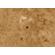 Baader Planetarium M68 Tele-Compendium: Picture 3 thumbnail