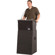 Anchor Audio Acclaim Lectern ACL-7500U2 Wireless Receiver with LM-618 Lectern Gooseneck Mic and Lamp, Gray: Picture 1 thumbnail