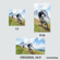 Adobe Premiere Elements 2025: Picture 4 thumbnail