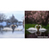 Adobe Photoshop Elements 2026: Picture 3 thumbnail