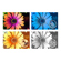 Adobe Software 2024: Picture 2 thumbnail