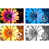 Adobe Software 2024: Picture 2 thumbnail