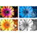 Adobe Software 2024: Picture 2 thumbnail