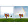 Adobe Photoshop & Premiere 2022: Picture 2 thumbnail