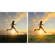 Adobe Photoshop & Premiere 2022: Picture 3 thumbnail