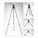 Acebil 2-Stage Compact Tripod: Picture 1 thumbnail