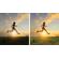 Adobe Photoshop & Premiere 2022: Picture 4 thumbnail