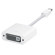 Apple DisplayPort to DVI: Picture 1 thumbnail